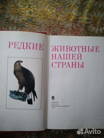 Редкие животные нашей страны