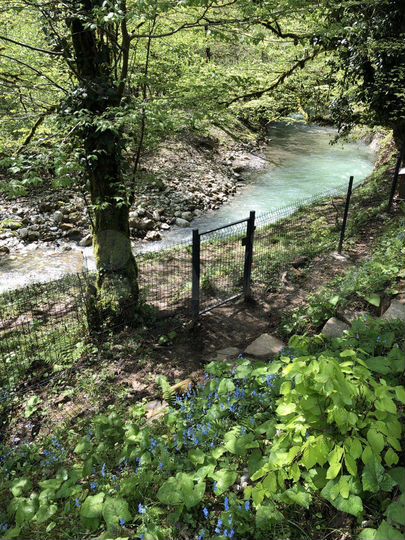 Дом 29 м² на участке 5 сот.