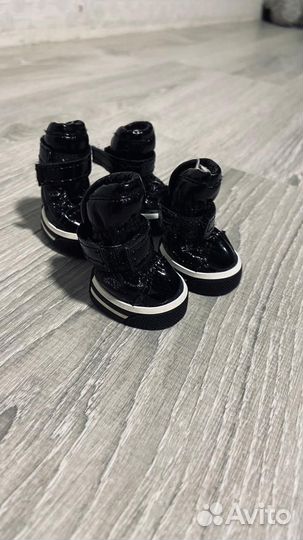 Обувь для маленьких собак