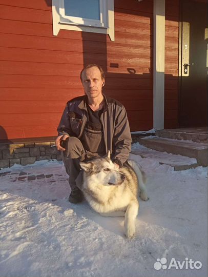 Сантехник услуги сантехника