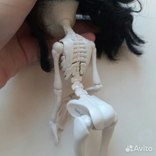 Кукла Monster High(Монстер Хай) Скелита Калаверас