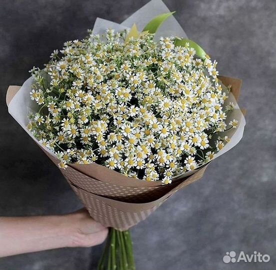 Ромашки букет