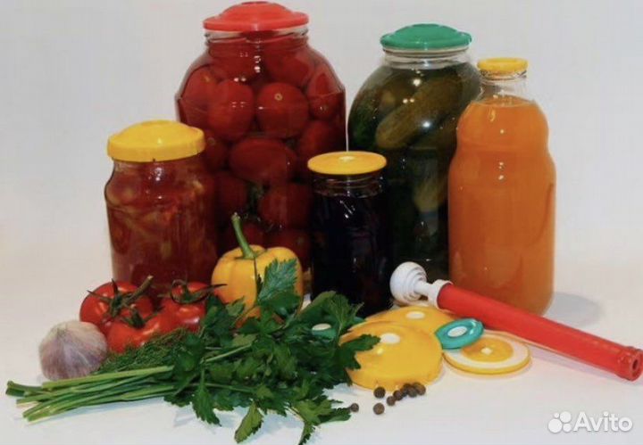 Вакуумные крышки с насосом Вакс 02Н