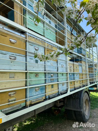 Улья многокорпусные