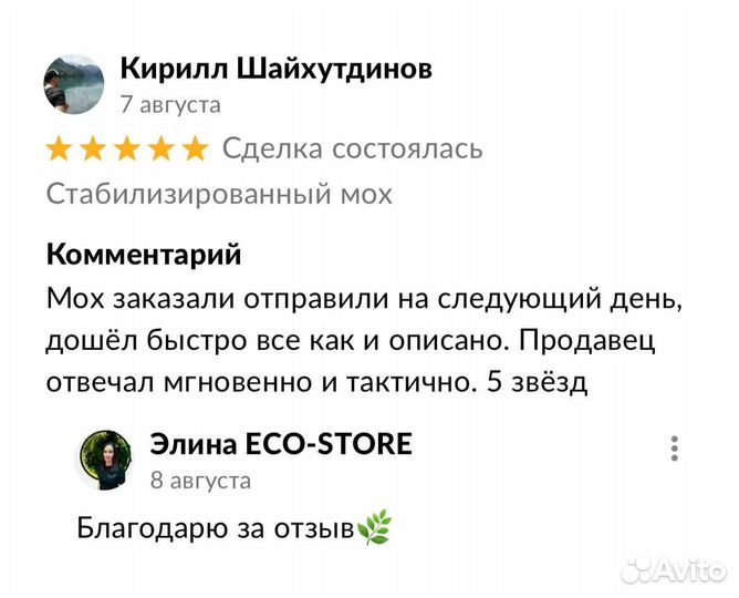 Зеркало со мхом 40 см