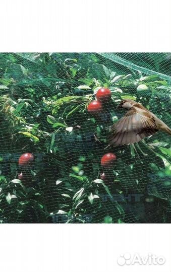 Сетка от птиц