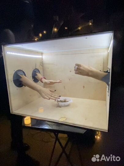 Ящик для игры «Кажется нашупал» Клик Клак