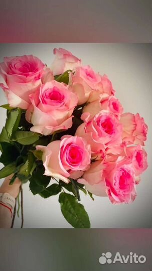 Цветы розы букет