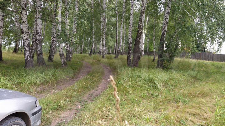 Участок 40 сот. (ИЖС)