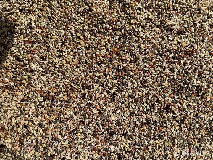 Корма для лесных птиц