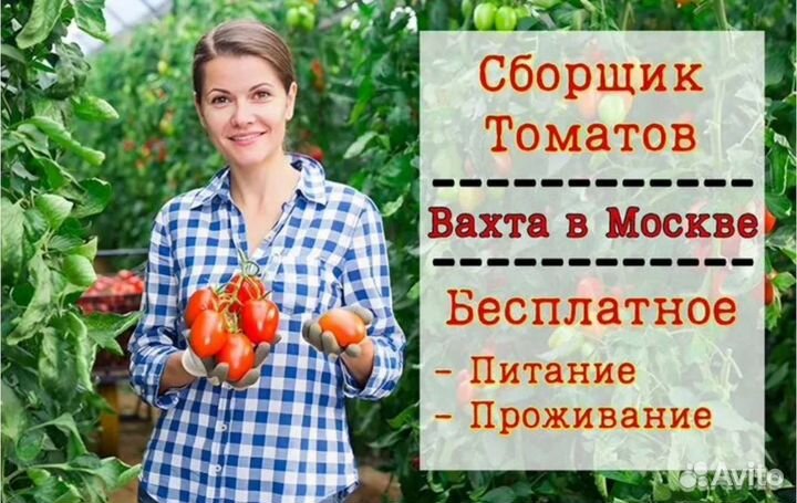 Вахта в Москве / Работник тепличного хозяйства