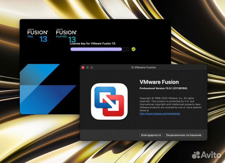 VMware Fusion 13 Pro MacOS