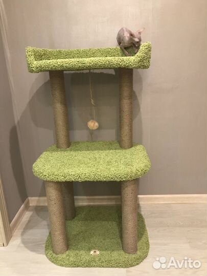 Когтеточка Моя Котя 