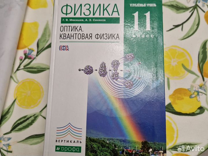 Учебники по физике, углублённым курс, 10-11 кл