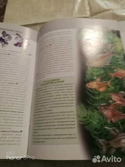 Энциклопедия