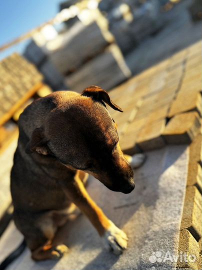 Тротуарная плитка Пропресс