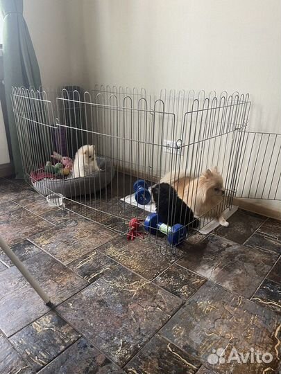 Вольер для собак
