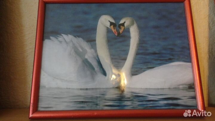 Картина Мой первый миллиард подарок денежная