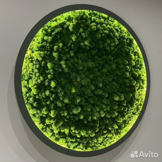 Мох с подсветкой. Панно круглое