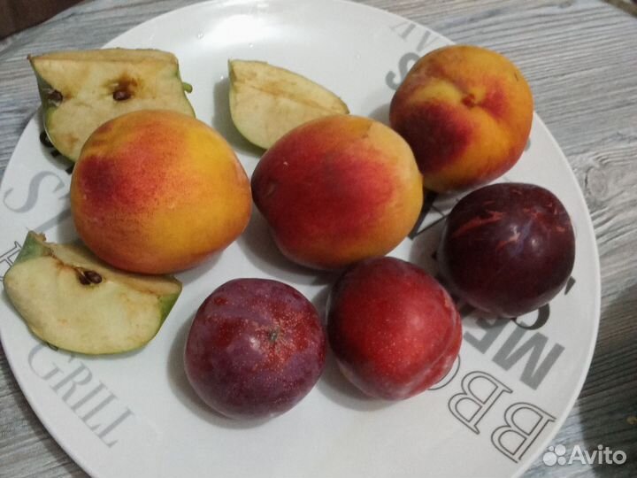 Декоративная тарелка с фруктами