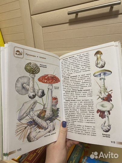 Атлас-определитель