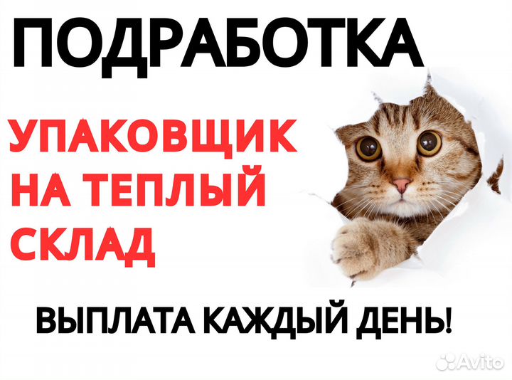 Упаковщик / Ежедневная подработка оз0430