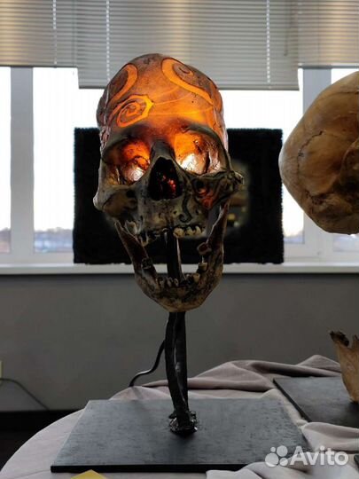 Череп, светильник, подставка