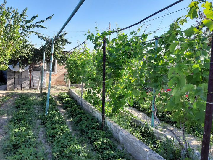 Дом 140 м² на участке 3 сот.