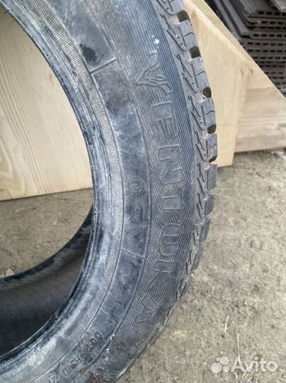 Goodyear Eagle Ventura 195/55 R15 85V