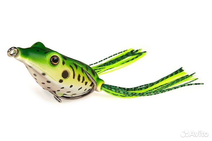 Лягушка kahara Frog