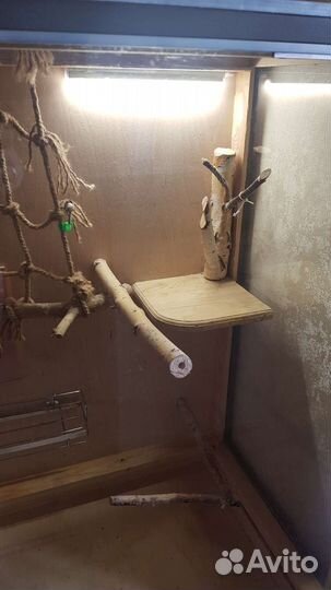 Клетка витрина