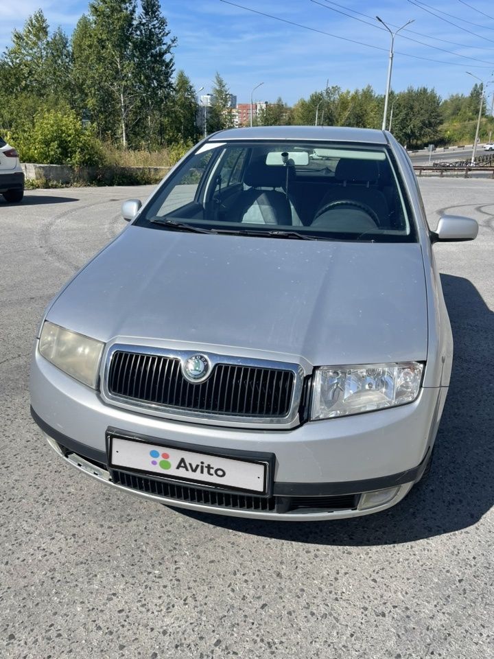 Skoda Fabia: фото владельца