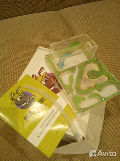 Муравьиная ферма без муравьев