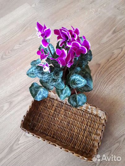 Подносы из лозы