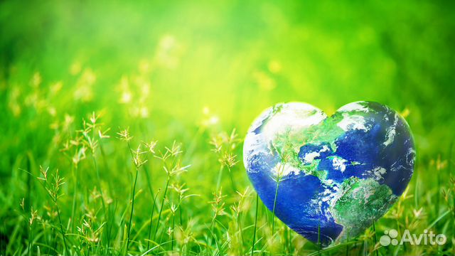 Эколог: воздух, отходы, ндв, сзз, нму, пноолр