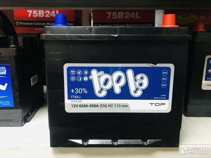 Аккумуляторы Topla