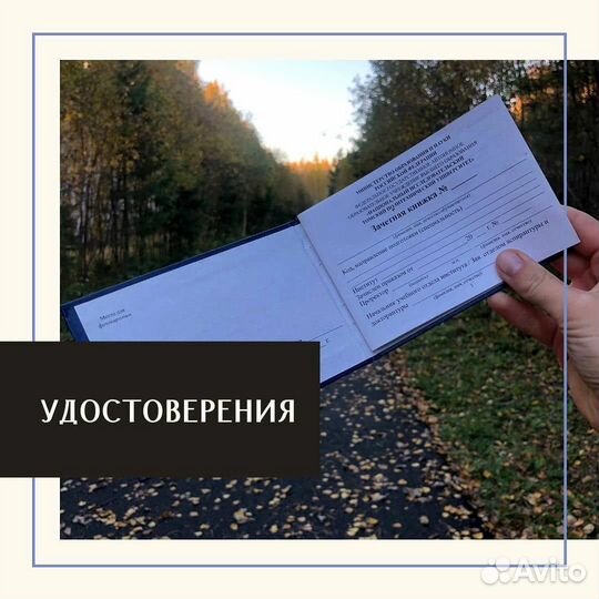 Офсетная и оперативная печать