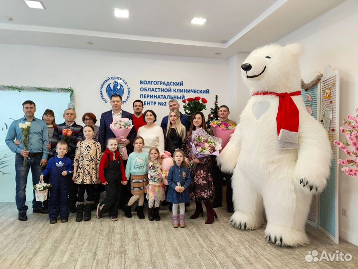 Поздравление от белого медведя