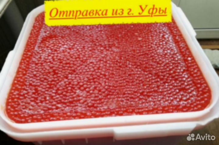 Красная икра