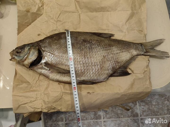 Лещ вяленый цимлянский XXl размер