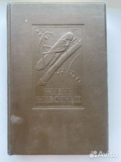 Жизнь животных по А.Э.Брему, 2 том