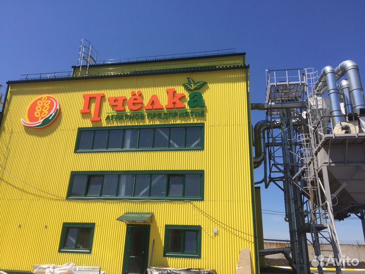 Семена озимой пшеницы:Алексеич, Безостая 100, Гром