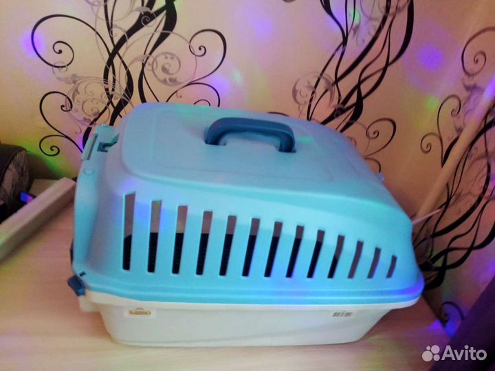 Переноска для кошек и собак. Аренда