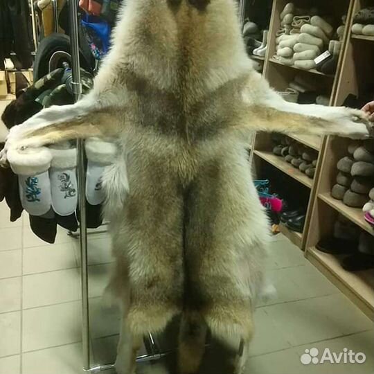 Шкуры волков