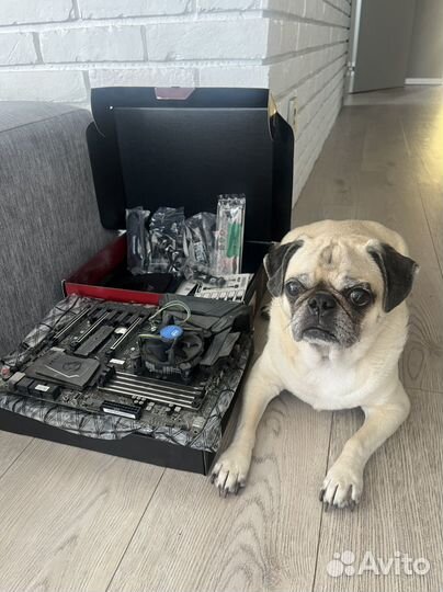 Мат плата, связка MSI Z270A gaming M7 сокет 1151