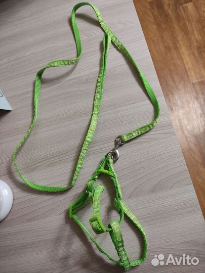 Ошейник для кошек новый