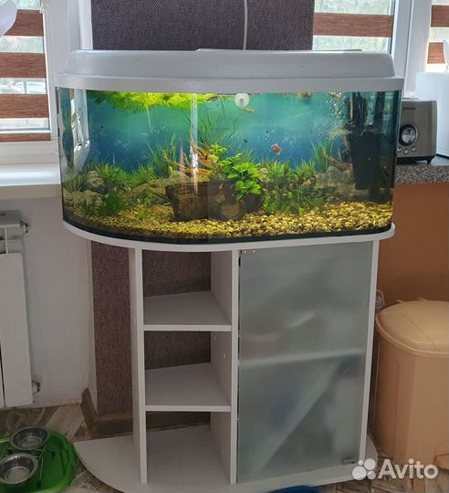 Аквариум с тумбой