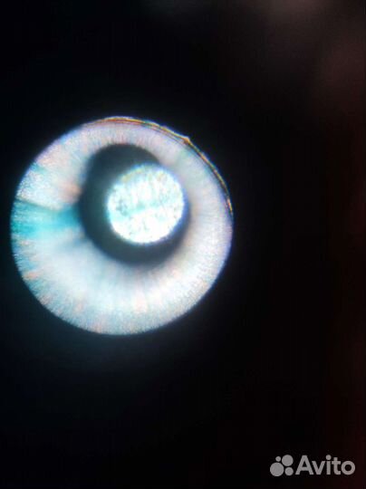 Микроскоп LabZZ moonstone