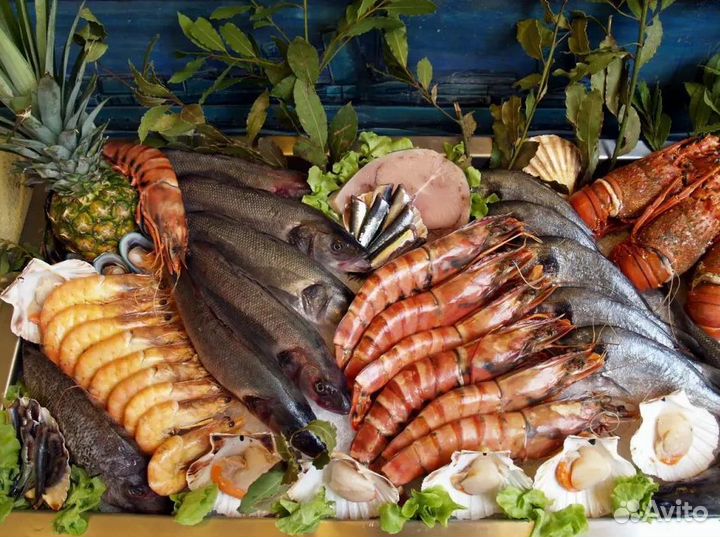 Готовый бизнес: рыбный магазин с поддержкой