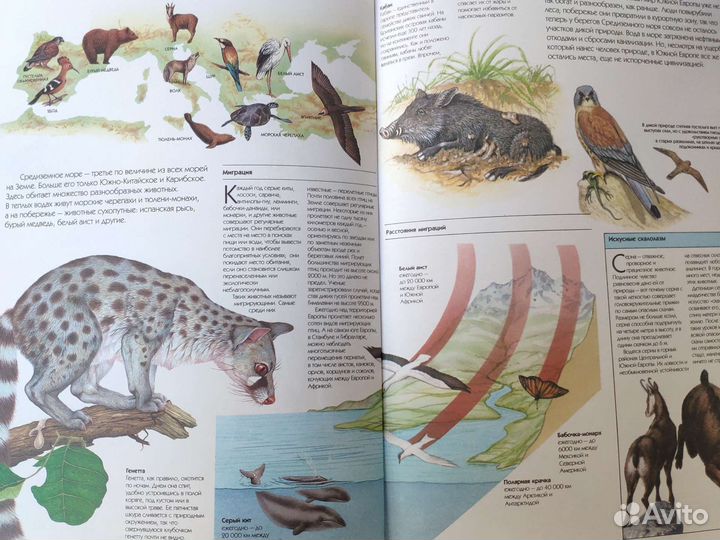 Книги о животных